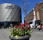 Keukenhof bus aus Amsterdam