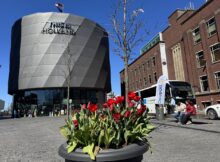 Keukenhof bus aus Amsterdam
